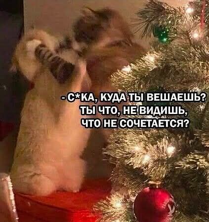 -С*ка, куда ты вешаешь? Ты что, не видишь, что не сочетается?