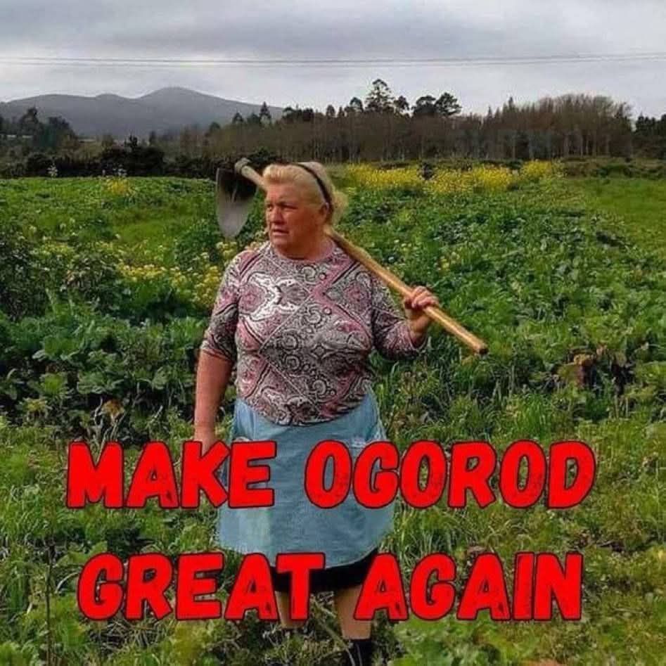 MAKE OGOROD GREAT AGAIN