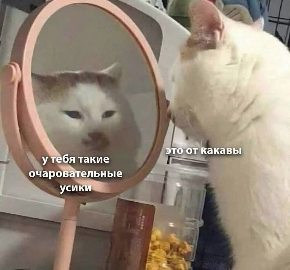 у тво я такие очаровательные ушики; это от какавы