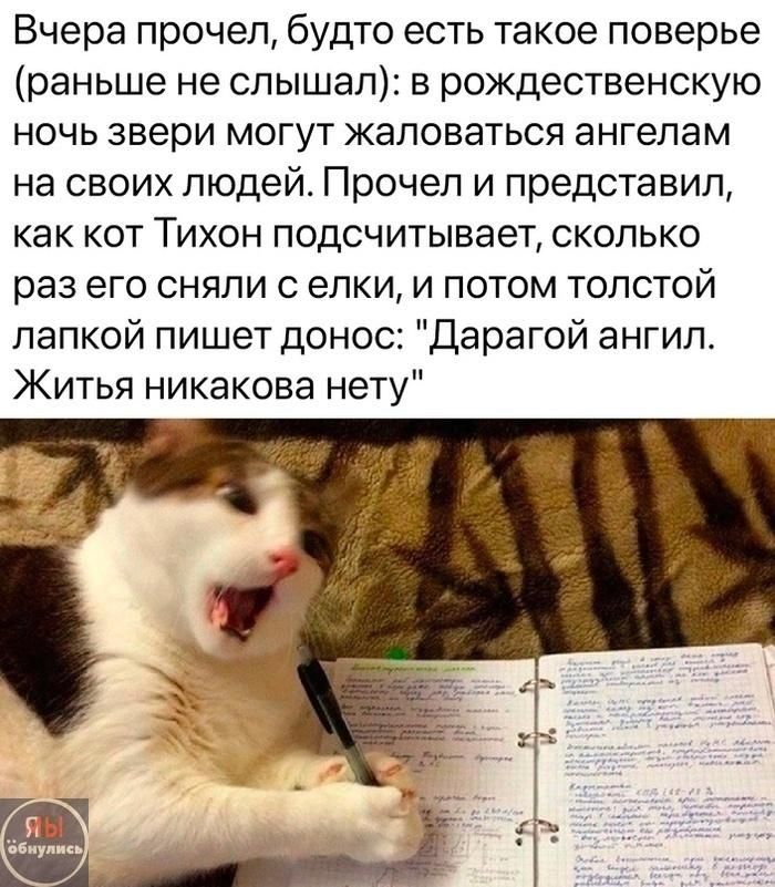 Вчера прочел, будто есть такое поверье (раньше не слышал): в рождественскую ночь звери могут жаловаться ангелам на своих людей. Прочел и представил, как кот Тихон подсчитывает, сколько раз его сняли с елки, и потом толстой лапкой пишет донос: 