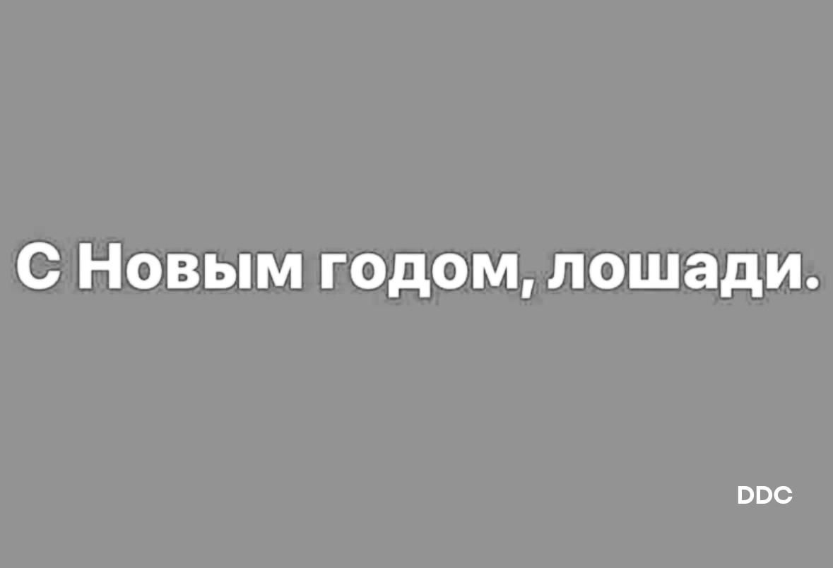 С Новым годом, лошади.