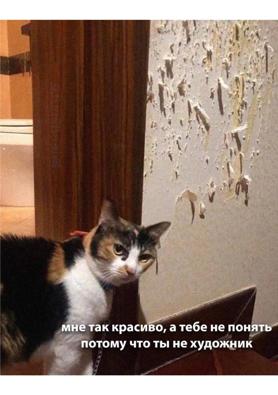 мне так красиво, а тебе не понять потому что ты не художник