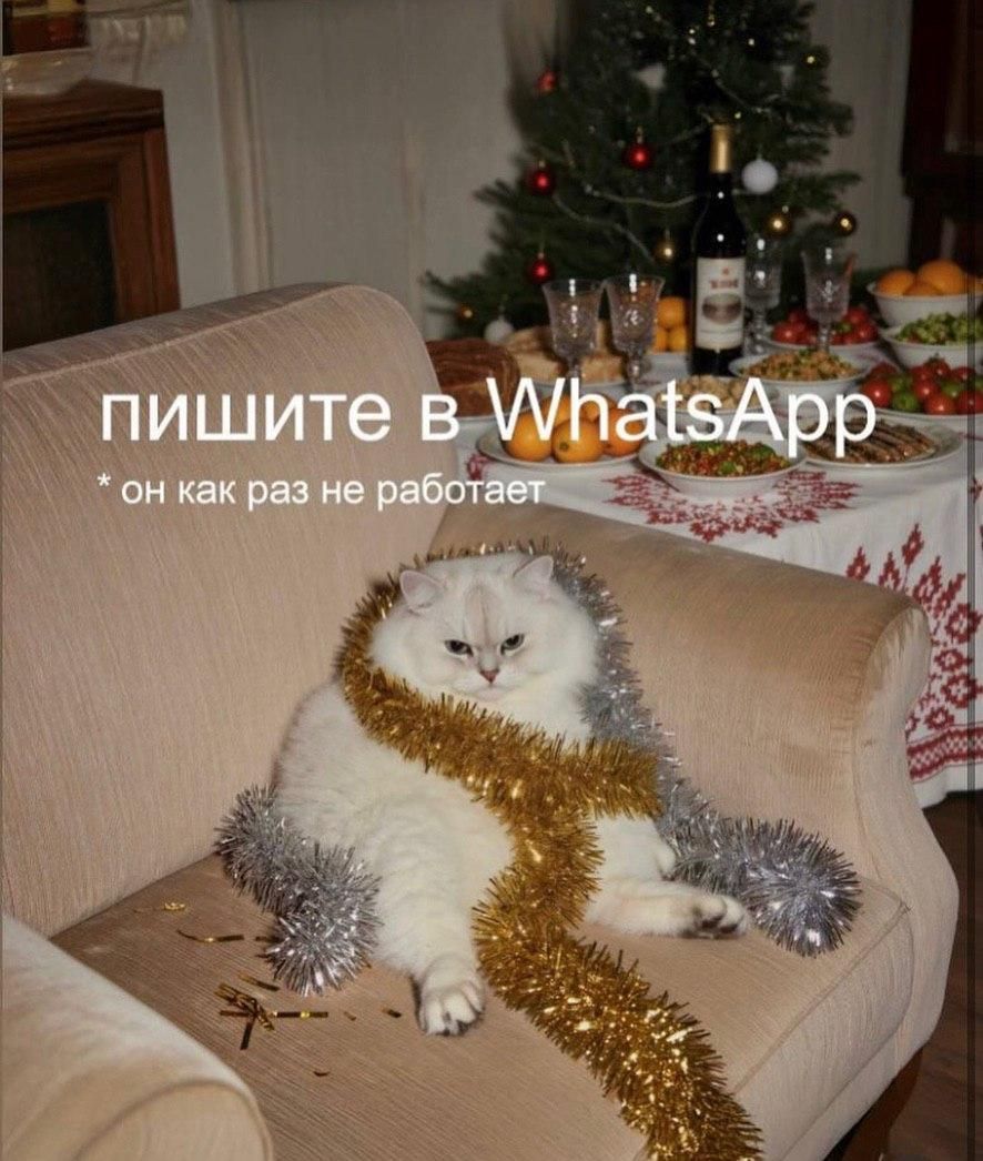 пишите в WhatsApp *он как раз не работает