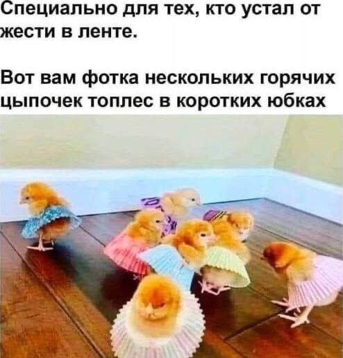 Специально для тех, кто устал от жести в ленте.

Вот вам фотка нескольких горячих цыпочек топлес в коротких юбках