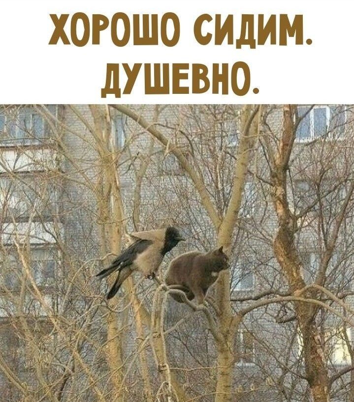 ХОРОШО СИДИМ. ДУШЕВНО.