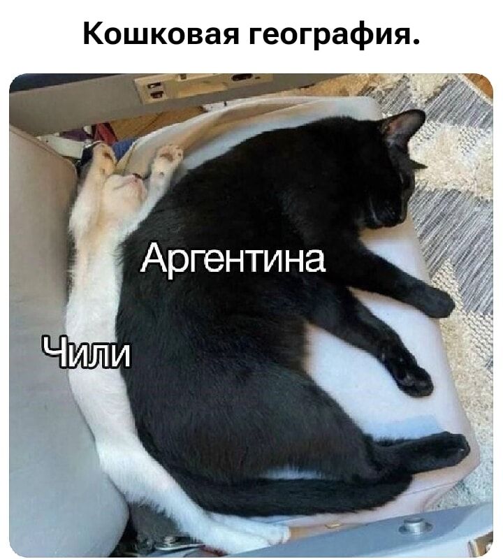 Кошковая география. Аргентина Чили
