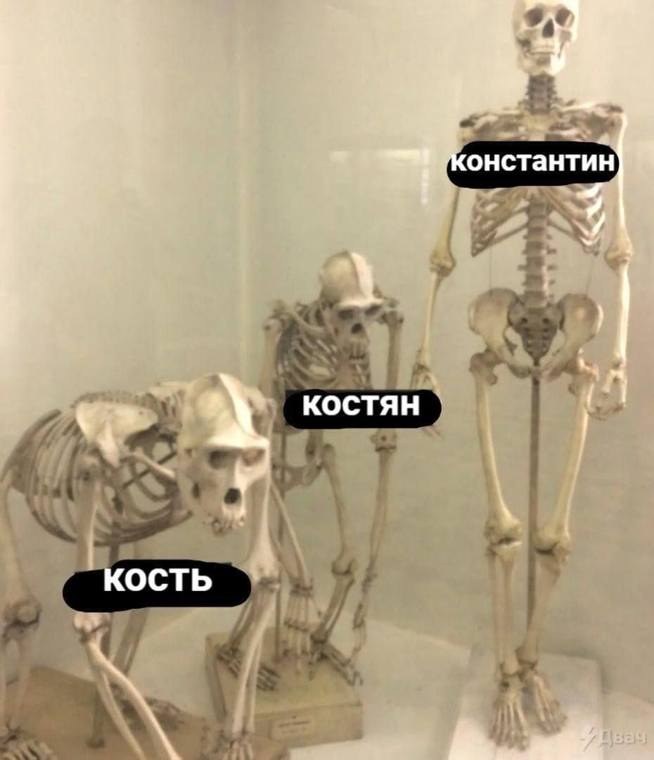 кость костян константин