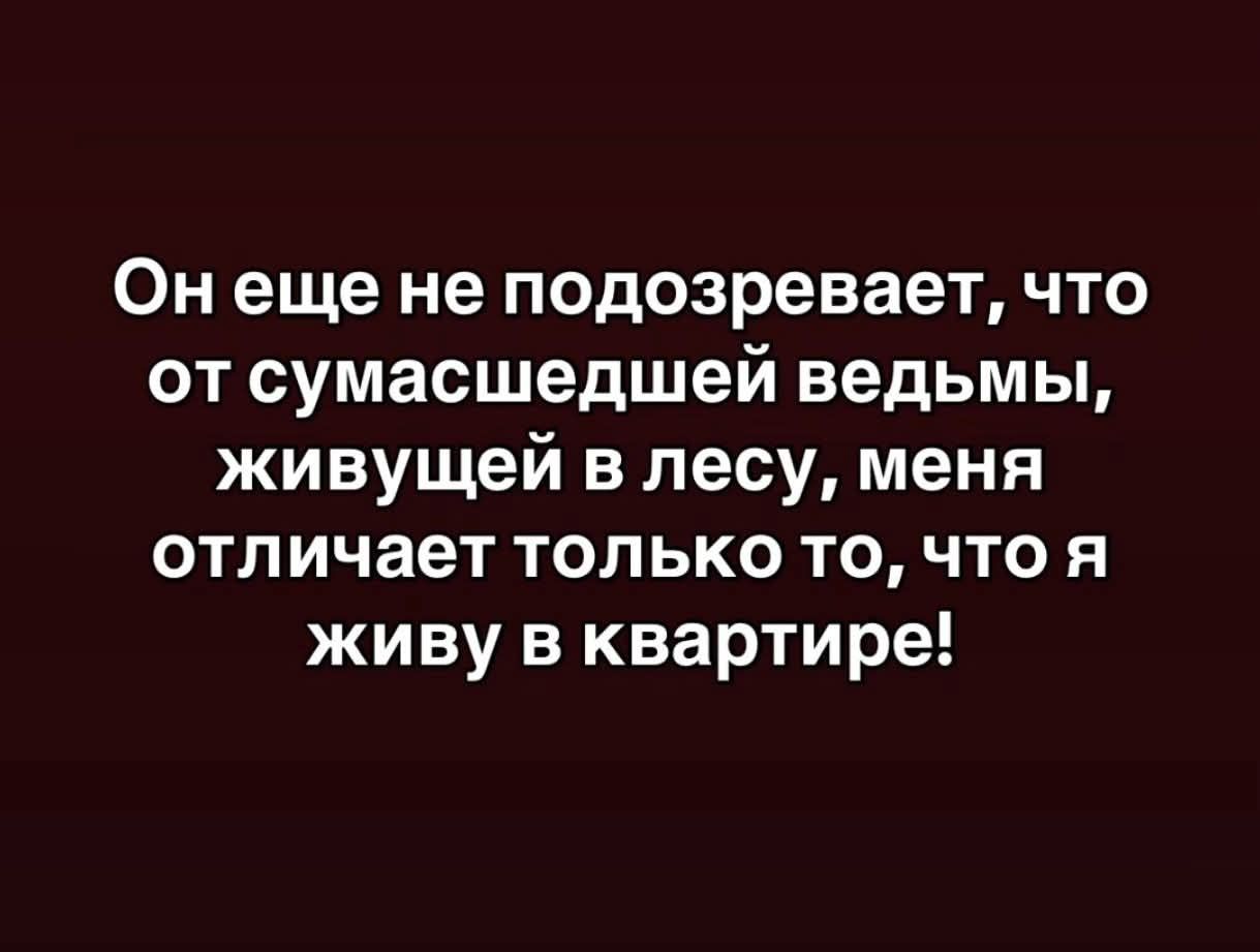 Он еще не подозревает, что от сумасшедшей ведьмы, живущей в лесу, меня отличает только то, что я живу в квартире!