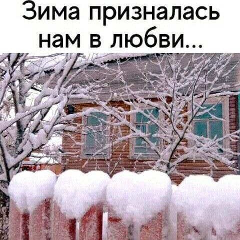 Зима призналась нам в любви...