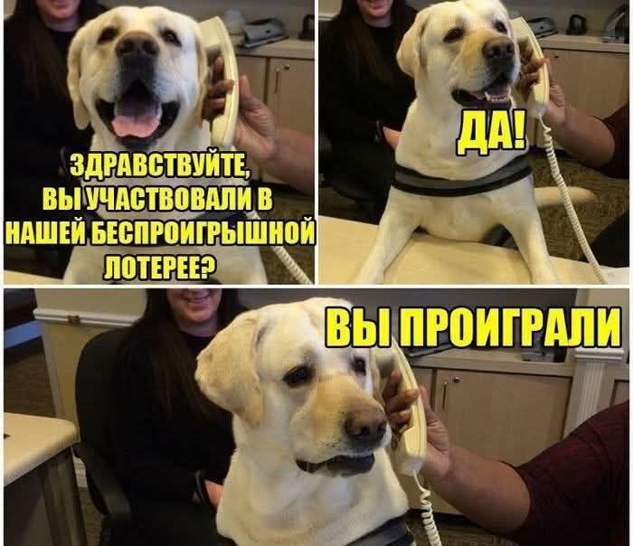 ЗДРАВСТВУЙТЕ, ВЫ УЧАСТВАЛИ В НАШЕЙ БЕСПРОИГРЫШНОЙ ЛОТЕРЕЕ?\nДА!\nВЫ ПРОИГРАЛИ
