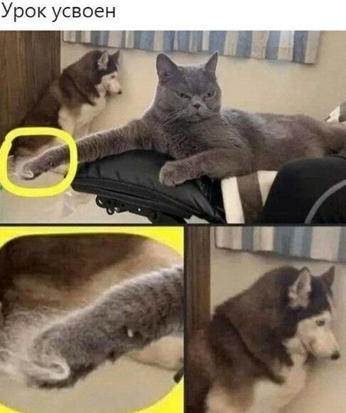 Урок усвоен