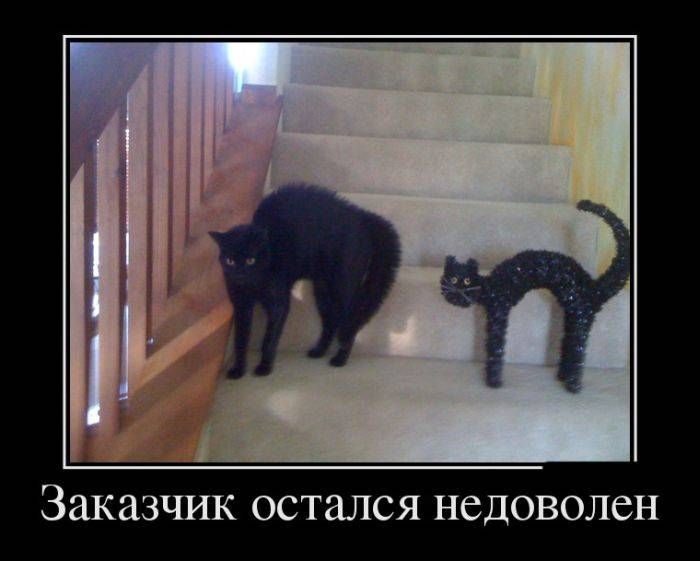 Заказчик остался недоволен