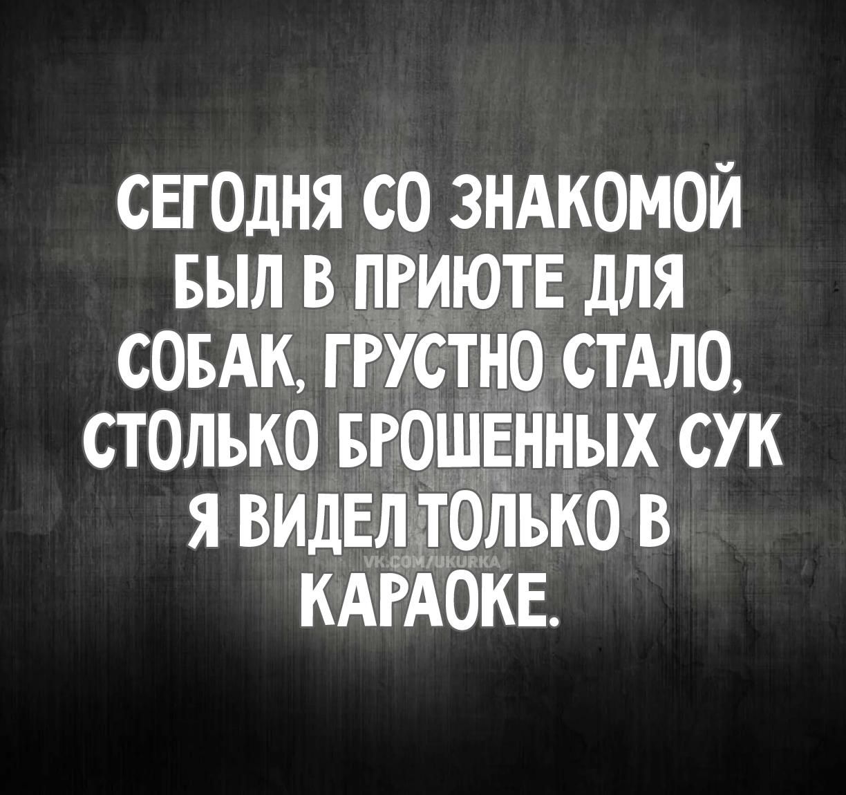 СЕГОДНЯ СО ЗНАКОМОЙ БЫЛ В ПРИЮТЕ ДЛЯ СОБАК, ГРУСТНО СТАЛО, СТОЛЬКО БРОШЕННЫХ СУК Я ВИДЕЛ ТОЛЬКО В КАРАОКЕ.