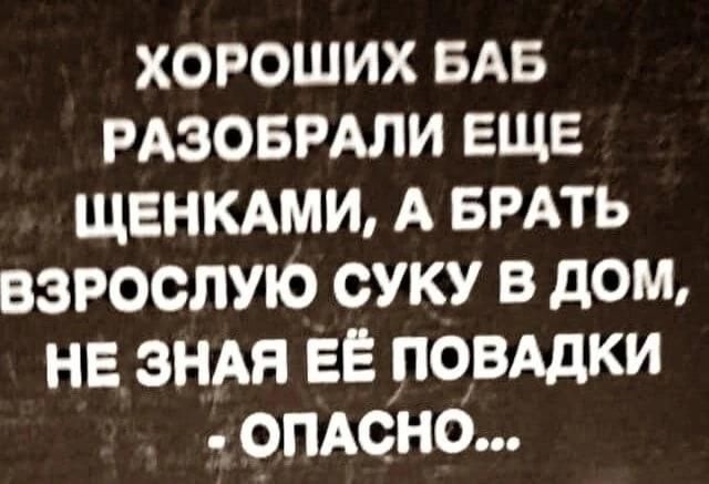 ХОРОШИХ БАБ РАЗОБРАЛИ ЕЩЕ ЩЕНКАМИ, А БРАТЬ ВЗРОСЛУЮ СУКУ В ДОМ, НЕ ЗНАЯ ЕЁ ПОВАДКИ - ОПАСНО...