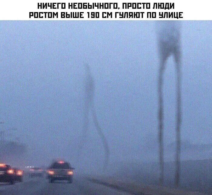 НИЧЕГО НЕОБЫЧНОГО, ПРОСТО ЛЮДИ РОСТОМ ВЫШЕ 190 СМ ГУЛЯЮТ ПО УЛИЦЕ