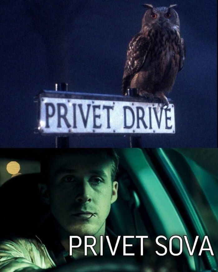 PRIVET DRIVE
PRIVET SOVA