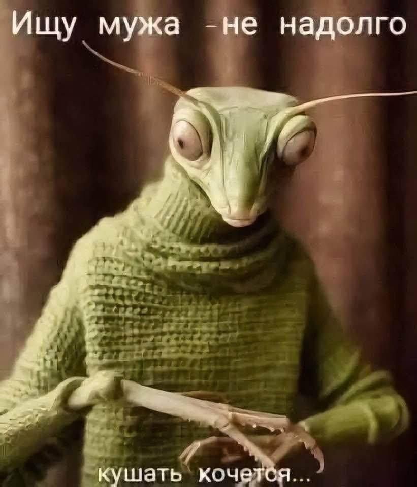 Ищу мужа - не надолго кушать хочется...