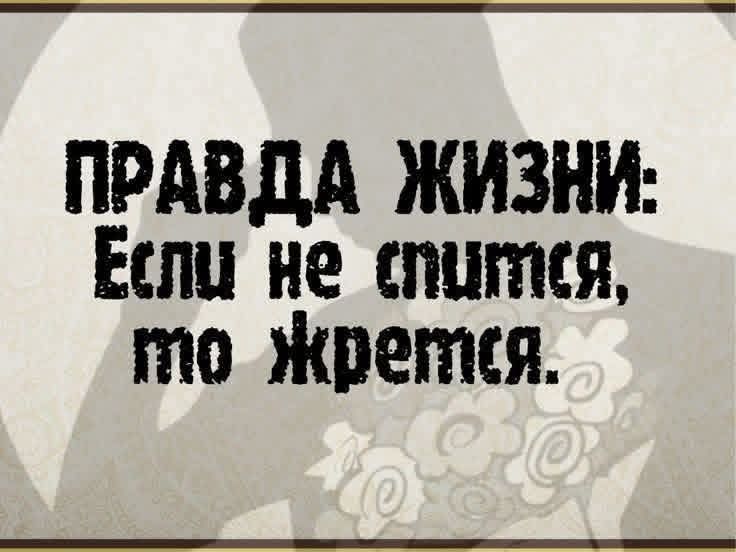 ПРАВДА ЖИЗНИ: Если не спится, то жрется.