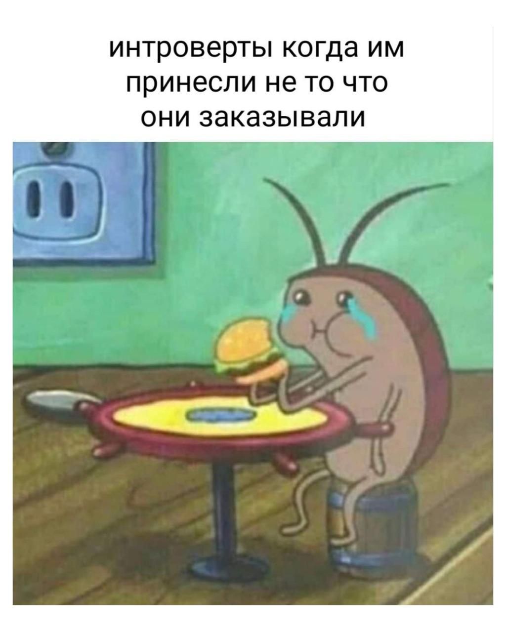 интроверты когда им принесли не то что они заказывали