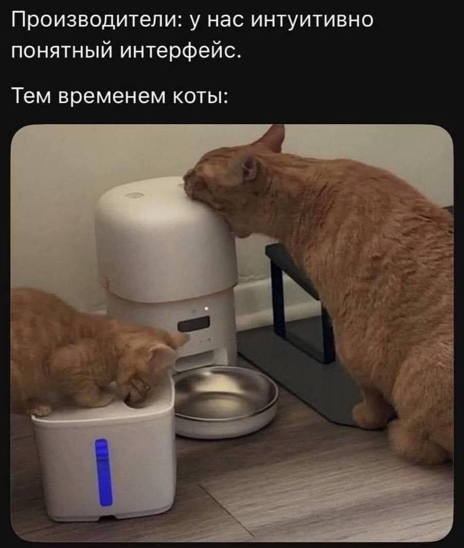 Производители: у нас интуитивно понятный интерфейс. Тем временe коты: