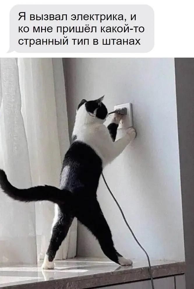 Я вызвал электрика, и ко мне пришёл какой-то странный тип в штанах