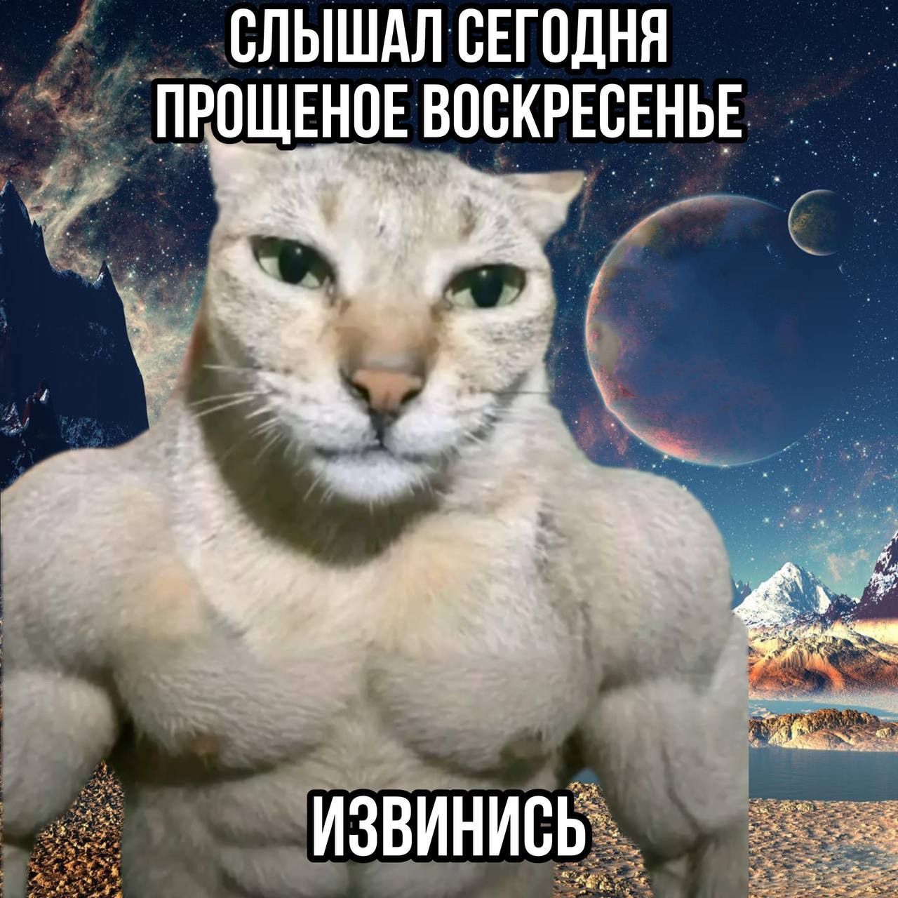 Слышал сегодня прощенное воскресенье
Извинитесь