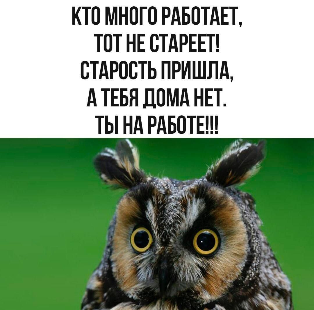 КТО МНОГО РАБОТАЕТ, ТОТ НЕ СТАРЕЕТ! СТАРОСТЬ ПРИШЛА, А ТЕБЯ ДОМA НЕТ. ТЫ НА РАБОТЕ!!!
