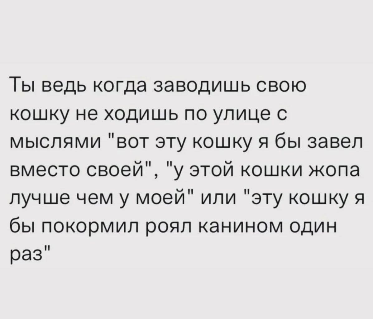 Ты ведь когда заводишь свою кошку не ходишь по улице с мыслями 