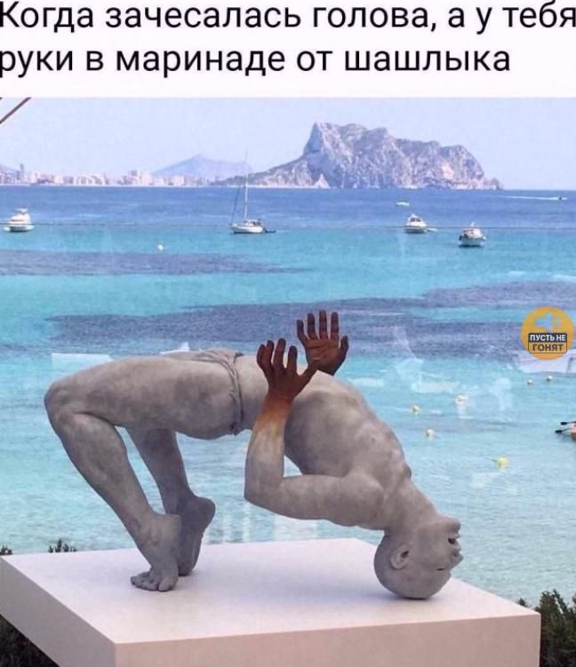 Когда зачесалась голова, а у тебя руки в маринаде от шашлыка