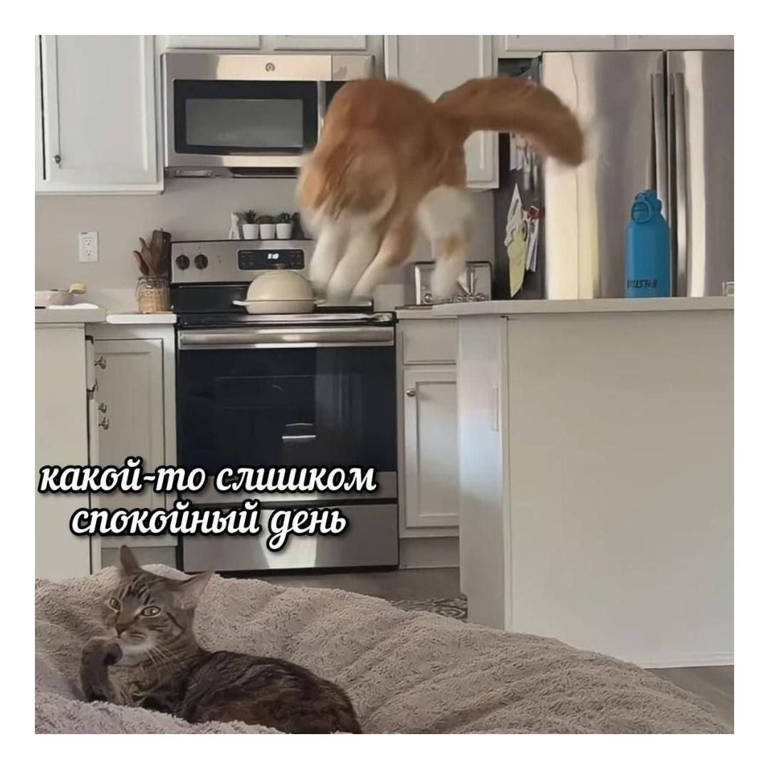 какой-то слишкомом спокойный день