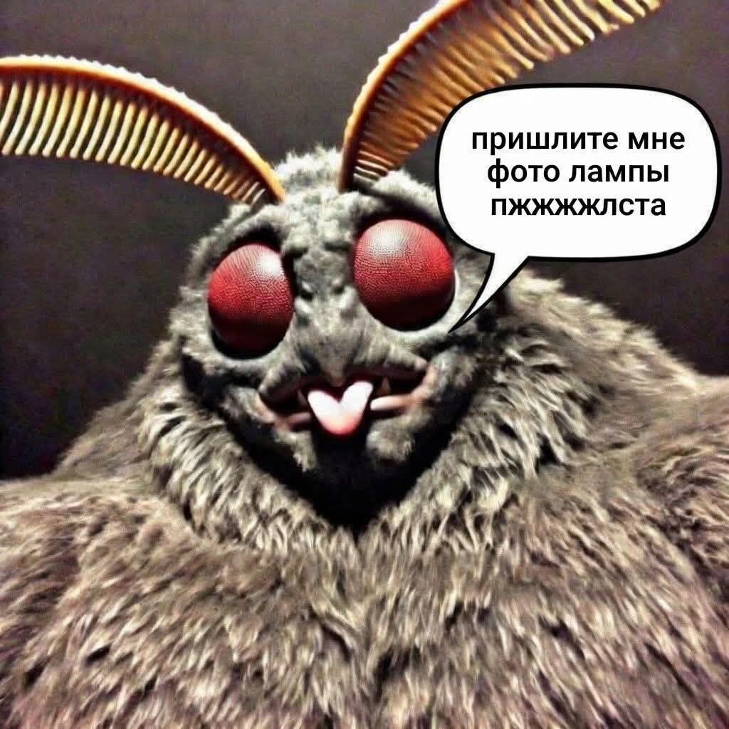 пришлите мне фото лампы пжжжлста