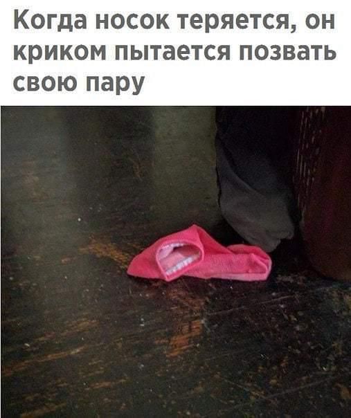 Когда носок теряется, он криком пытается позвать свою пару