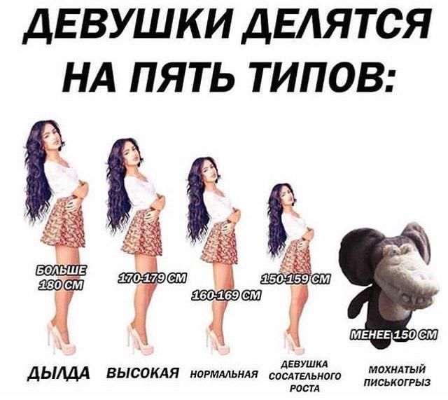 ДЕВУШКИ ДЕЛЯТСЯ НА ПЯТЬ ТИПОВ: БОЛЬШЕ 180 СМ — 170-179 СМ — 160-169 СМ — МЕНЕЕ 150 СМ и в конце — мохнатый... (мультяшный персонаж).