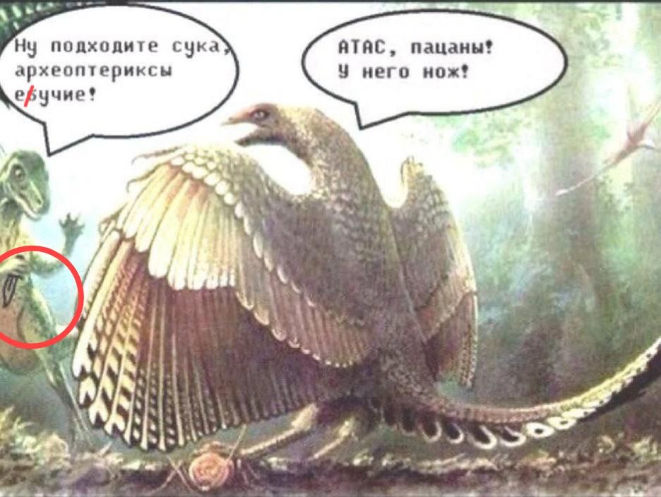 Ну подходите сука археоптериксы ерчуйте!
У нас, пацаны! У него нож!