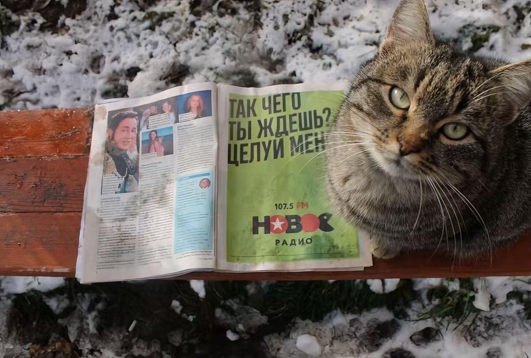 Так чего ты ждешь? целуй меня