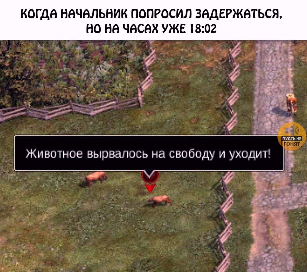 КОГДА НАЧАЛЬНИК ПОПРОСИЛ ЗАДЕРЖАТЬСЯ, НО НА ЧАСАХ УЖЕ 18:02 Животное вырвалось на свободу и уходит! ПУСТЬ НЕ ГОНЯТ