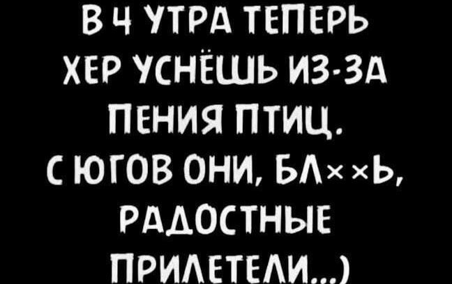 В 4 УТРА ТЕПЕРЬ ХЕР УСНЁШЬ ИЗ-ЗА ПЕНИЯ ПТИЦ. С ЮГОВ ОНИ, БЛ**Ь, РАДОСТНЫЕ ПРИЛЕТЕЛИ...)
