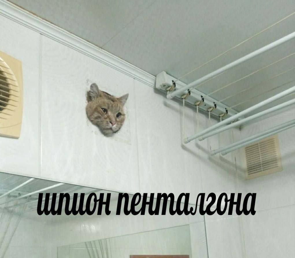 шпион пентагона