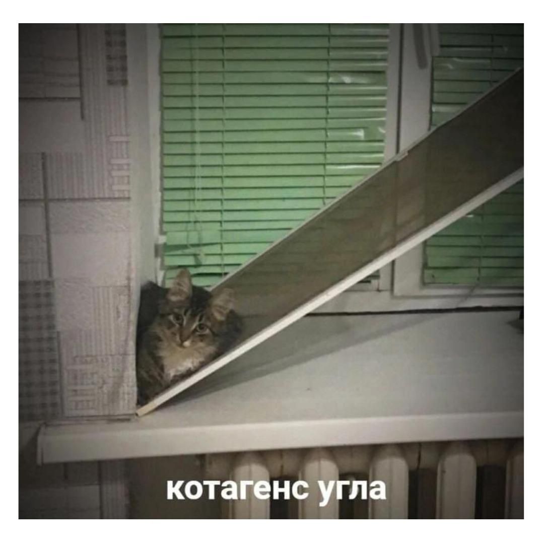 котагенс угла