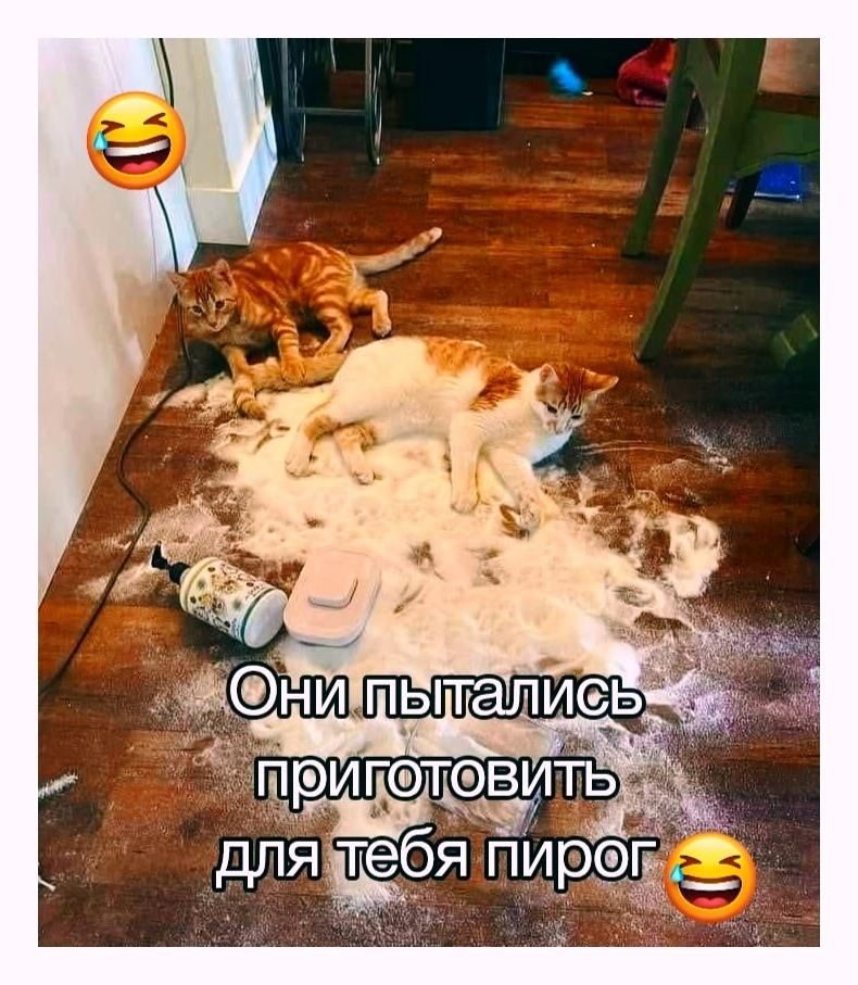 Они пытались приготовить для тебя пирог 😂