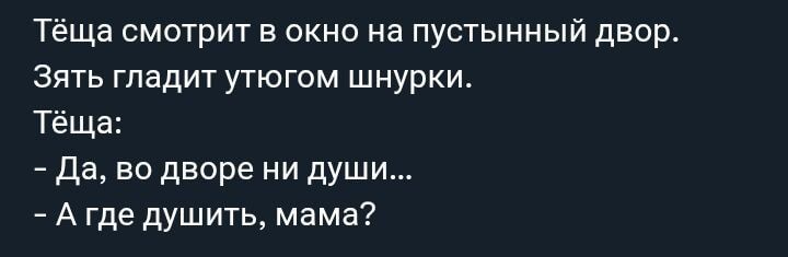 Тёща смотрит в окно на пустынный двор.
Зять гладит утюгом шнурки.
Тёща:
- Да, во дворе ни души...
- А где душить, мама?