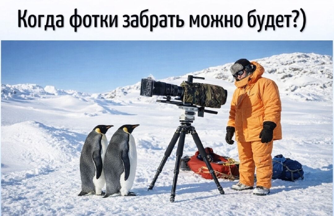 Когда фотки забрать можно будет?)