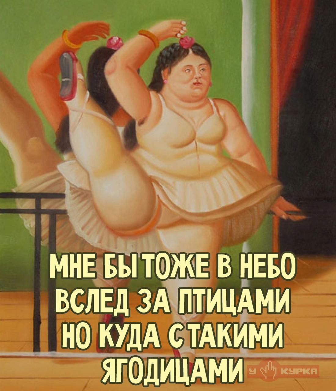 МНЕ БЫ ТОЖЕ В НЕБО ВСЛЕД ЗА ПТИЦАМИ НО КУДА С ТАКИМИ ЯГОДИЦАМИ