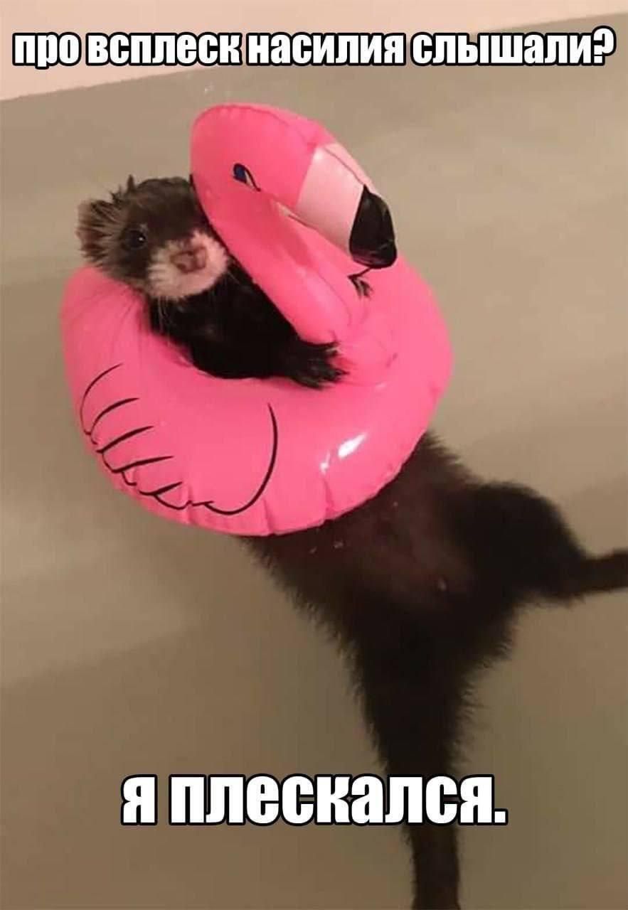 про всплеск насилия слышали? я плескался.