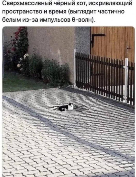 Сверхмассивный чёрный кот, искривляющий пространство и время (выглядит частично белым из-за импульсов θ-волн).