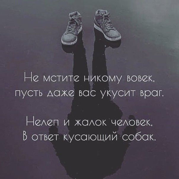 Нге мётитде дикому пусть даже вос Уктусит враг НАеп И ксиок чеАовек В ответ кусоющий собак