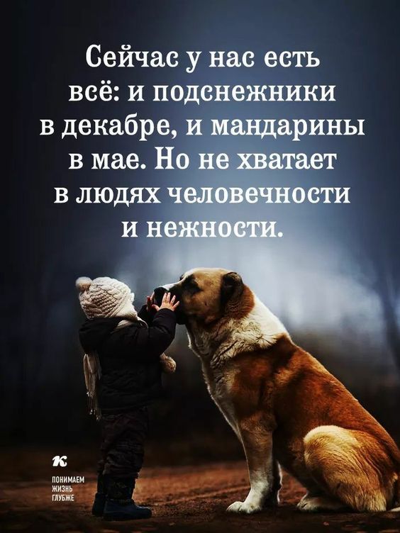 Сейчас у нас есть всё и подснежники в декабре в мае Н 4