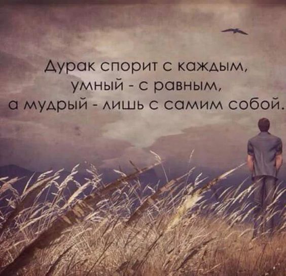 Аурок спорит с каждым умный с равным мудрый АИШЬ с самим собой