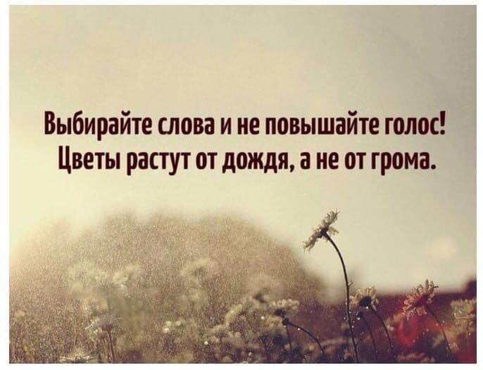 Выбирайте слова и не повышайте голос Цветы растут от дождя а не от грома