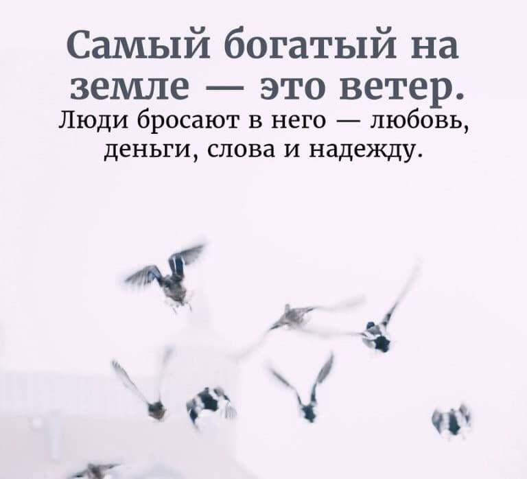 Самый богатый на земле это ветер Люди бросают в него любовь деньги слова и надежду